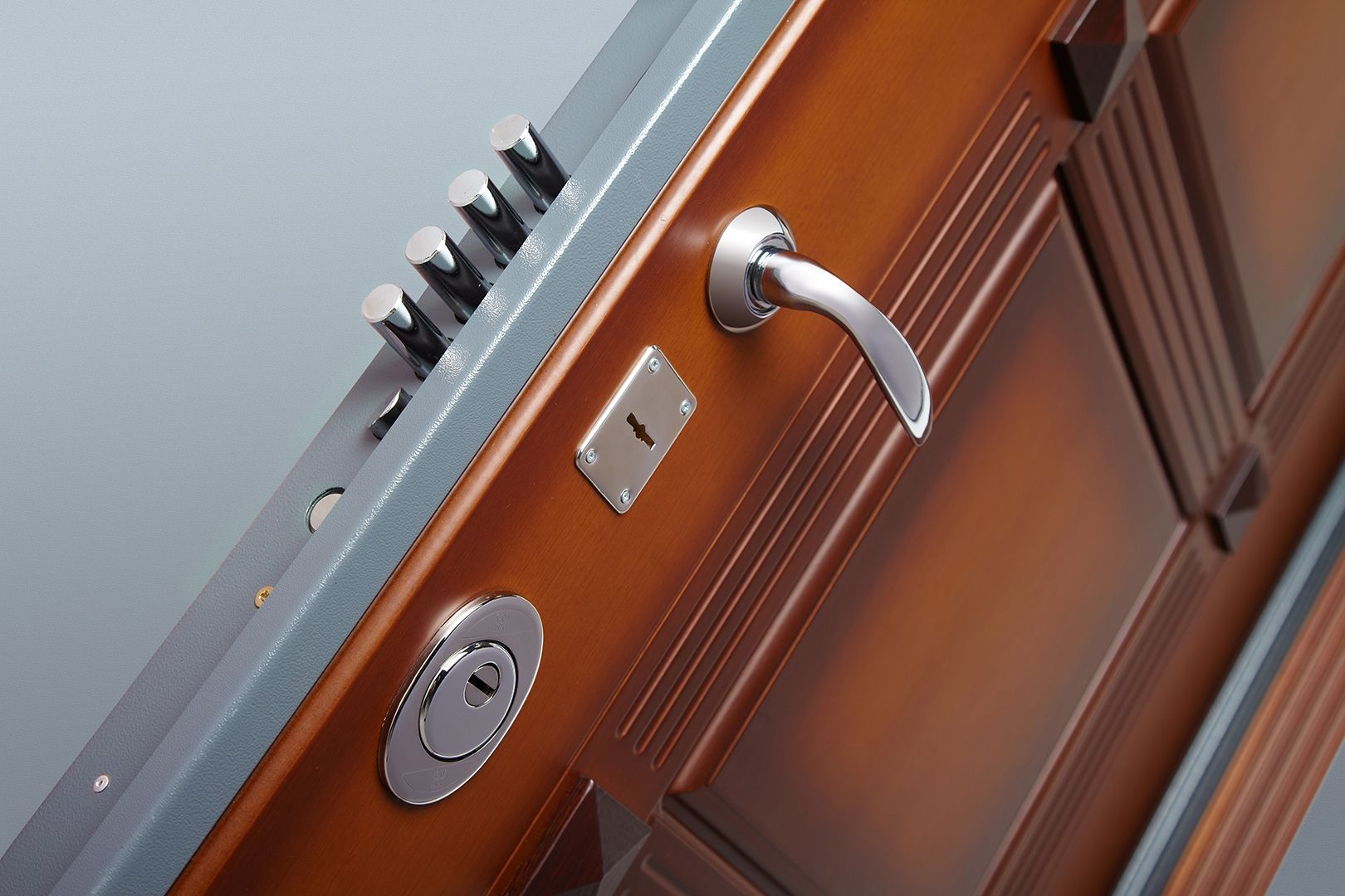 Металлическая дверь вблизи